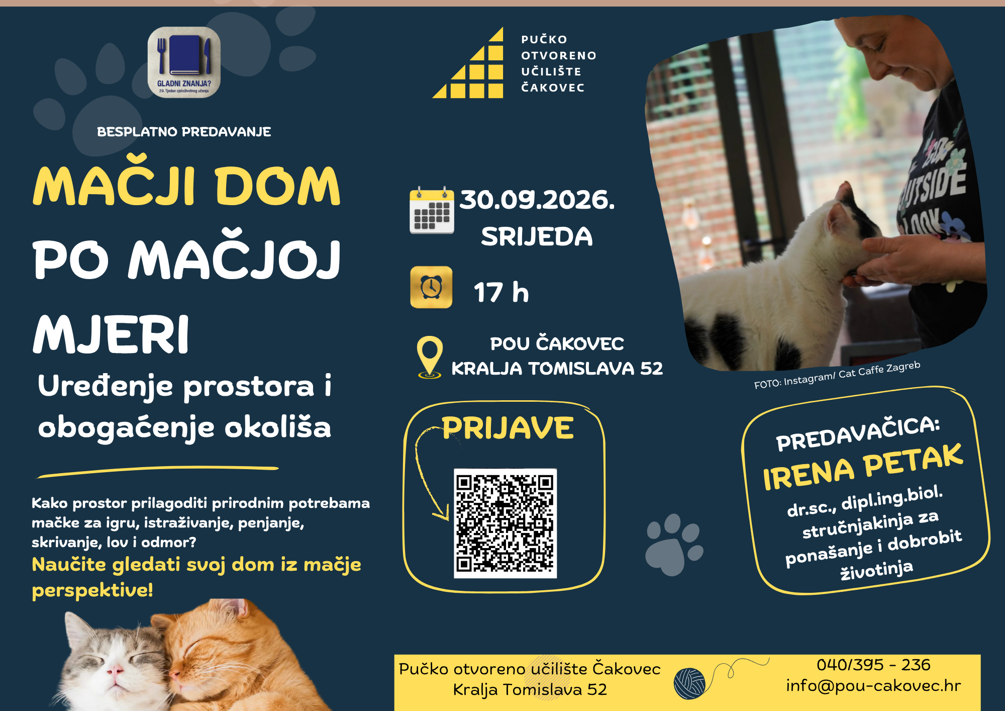Mačji dom po mačjoj mjeri - uređenje prostora i obogaćenje okoliša