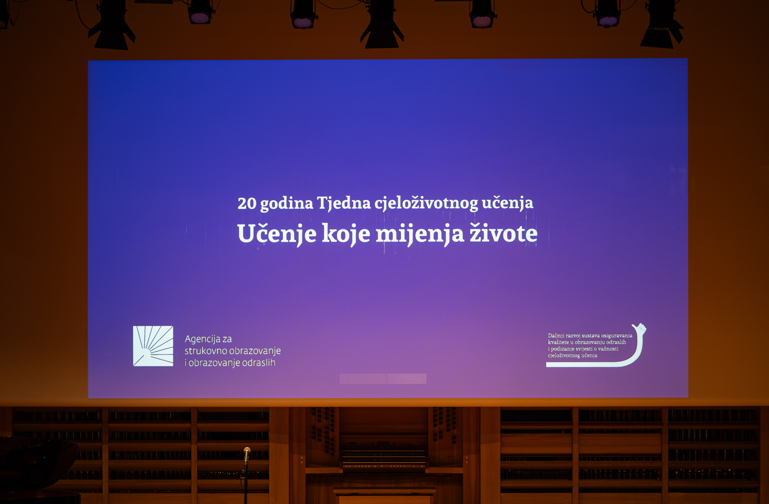 DSC_0881_44875901099234